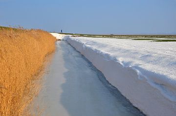 Winterwandeling / Winterwalk van Henk de Boer