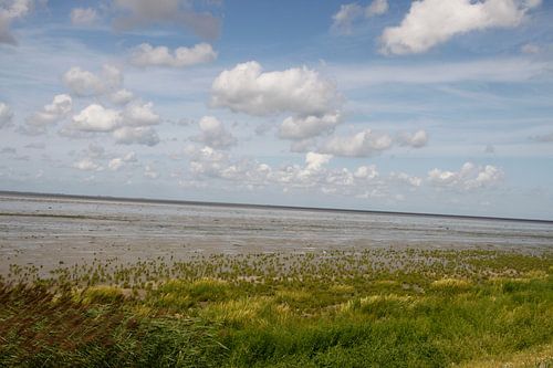 Zicht op het wad