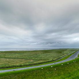 een kijkje in de kwelder van Marnefoto .nl