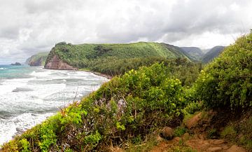 Pololu Valley, Big Island, Hawaii van Dirk Rüter