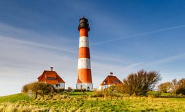 Leuchtend von Werner Reins