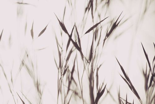 Elegant Grass White Beige