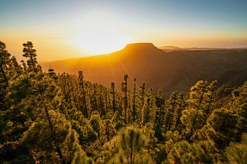 Table Mountain of La Gomera by Loris Photography