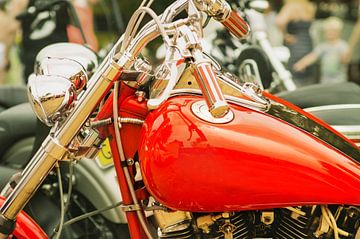 rode motorfiets van Bert-Jan de Wagenaar
