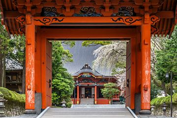 Nitemmon Tor, Miedo, Taisekiji-Tempel - Eingang zur Stille