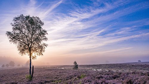 Heide landschap van Jan Hagen