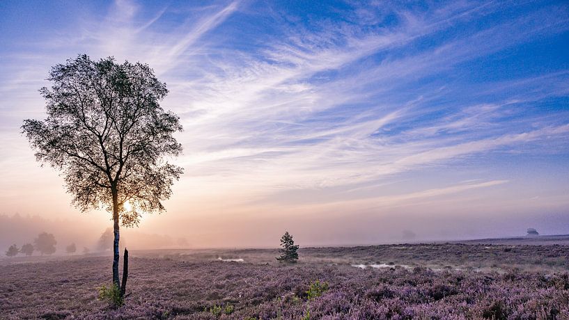 Heide landschap van Jan Hagen