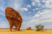 Bizarre rock formations on the Ennedi plateau in Chad