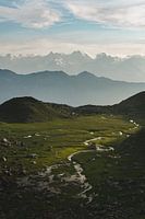 Meadow in front of Mont Blanc at sunset