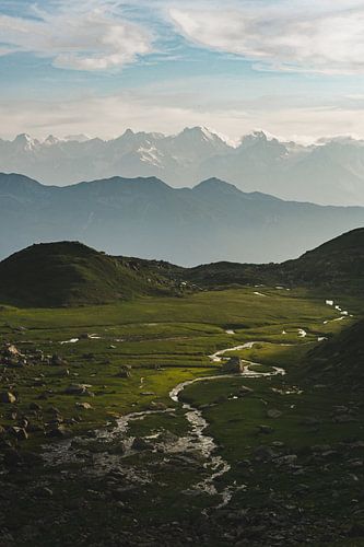 Meadow in front of Mont Blanc at sunset