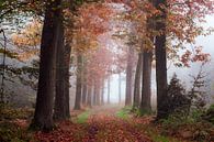 Hugged by Nature by Tvurk Photography thumbnail