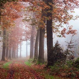 Hugged by Nature by Tvurk Photography