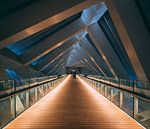 Bridge over Dubai water canal by michael regeer thumbnail