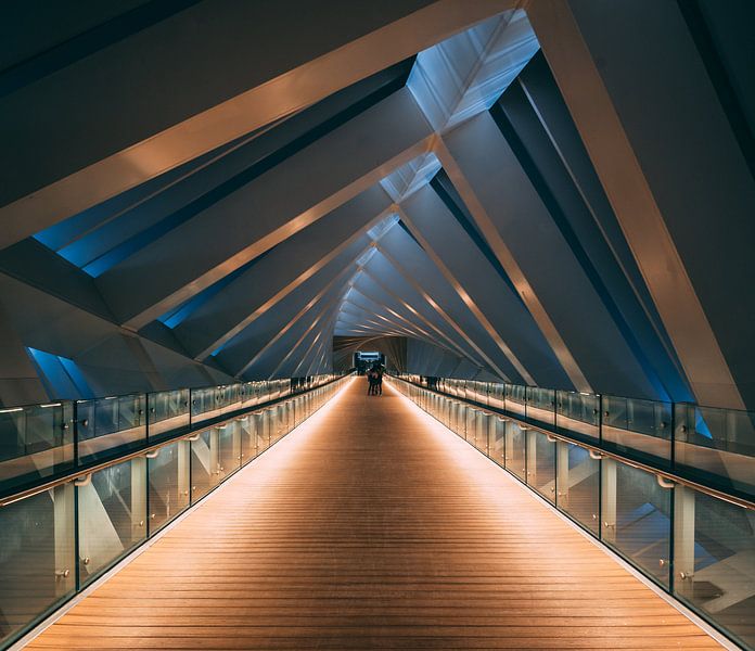 Bridge over Dubai water canal by michael regeer