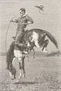 Boxen-Wildpferd "Bronco", 1888 von Atelier Liesjes Miniaturansicht
