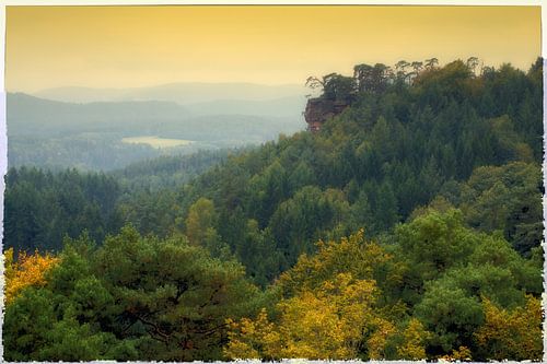 FORET DU PALATINAT Paysage montagneux - palatinate forest