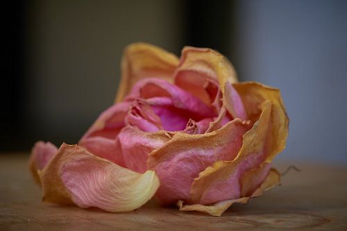 Gewoon op de keueken tafel ...