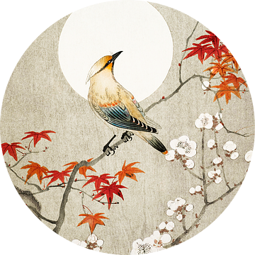 vogel met bloesem en japanse esdoorn van by Maria