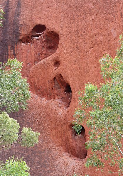 Uluru von Matthias Brix