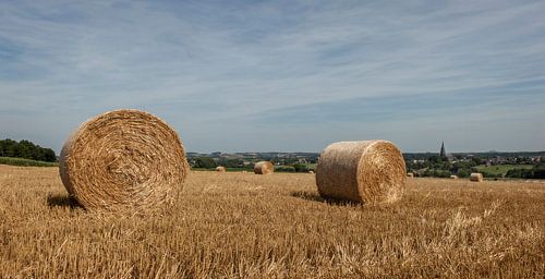 Strobalen bij Vijlen in Zuid-Limburg