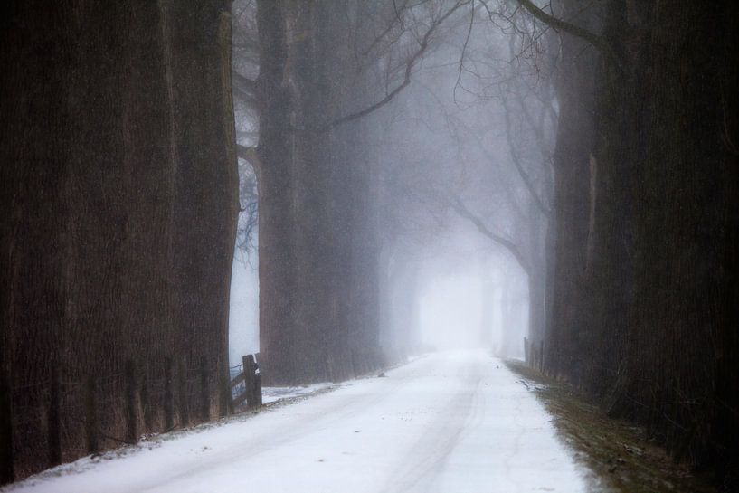 Winter landscape by Frank Peters