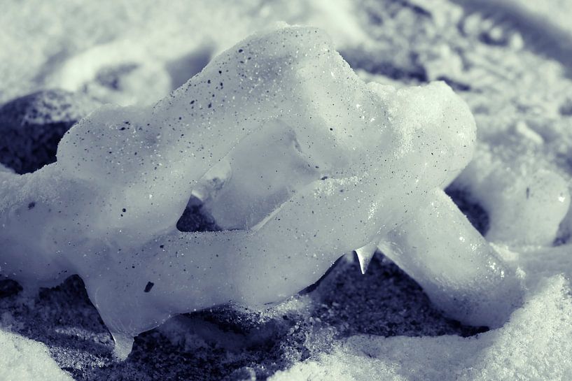 Frozen by Jörg Hausmann