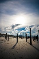 Petten.
