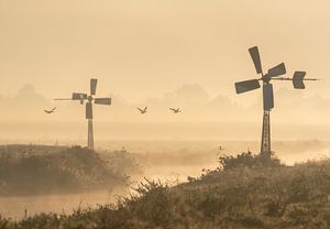 Mistig Hollands landschap van Marcel van Balken