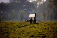 Banc préféré