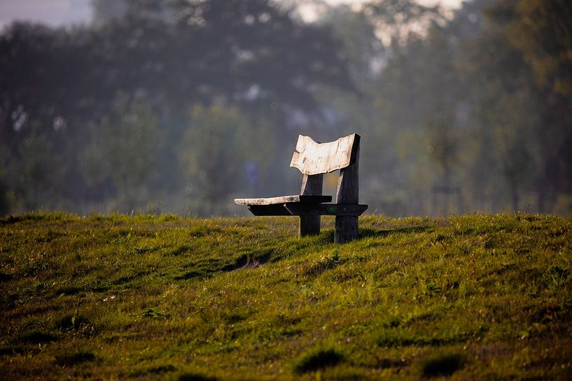 Favorite bench by Erwin van Eekhout