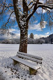 Verschneite Holzbank in stiller Winterlandschaft von Christina Bauer Photos