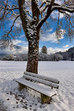At the bench by Christina Bauer Photos