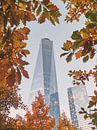 Autumn is in the air by Fabian Bosman thumbnail
