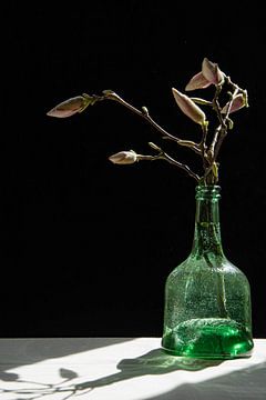 Magnolia vase by Seren Fotografie