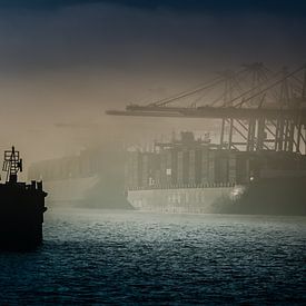 Photography Hamburg - Architecture - Container ship lies in the fog at the container terminal in Ham by Ingo Boelter