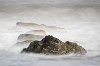 Lined up in the surf