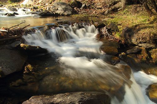 The river