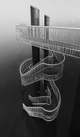 Minimalistisch trap in de Mist
