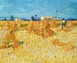 Ernte in der Provence - Vincent van Gogh von 1000 Schilderijen Miniaturansicht