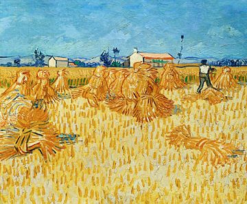 Vincent van Gogh. Oogst in de Provence