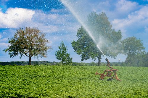 Am Stadtrand von Roermond besprüht ein Landwirt sein Land. Alle Wassermanager in den Niederlanden se