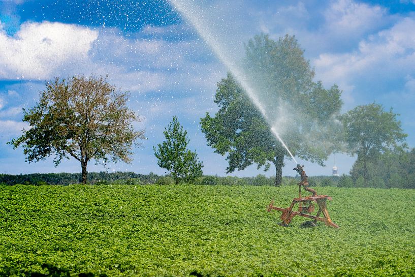 Dans la banlieue de Roermond, un agriculteur arrose sa terre. Tous les gestionnaires de l'eau aux Pa par Niels Wenstedt