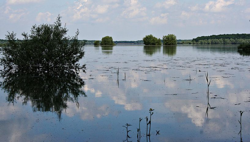 Le Lac d'Orient von Yvonne Blokland