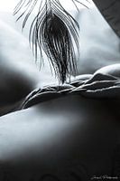 Akt Soft Touch