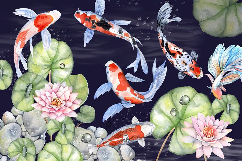 Fisch Koi Karpfen von Geertje mehr Leinwand, ArtFrame, Heroes Burgers | Art und auf Poster