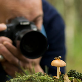 Johan van Opstal profielfoto