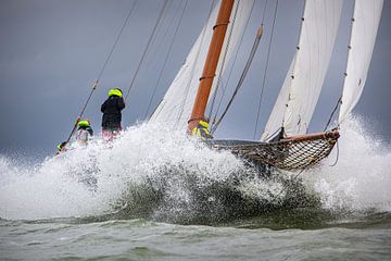 Lemsteraak en action