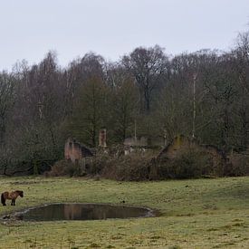 Boerderijruïne met een paard van Gerard de Zwaan