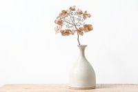 Bloem in vaas