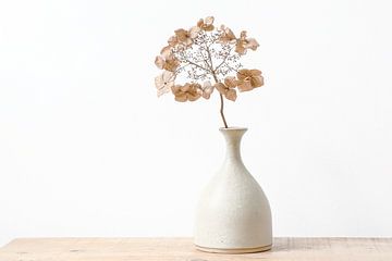 Hydrangea in vase by Caroline Drijber